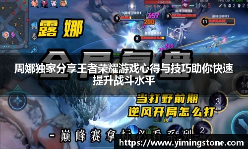 3377体育官网