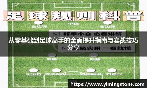 3377体育官网