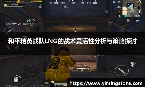 3377体育