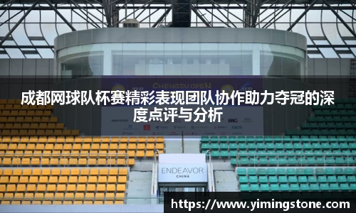 3377体育官网