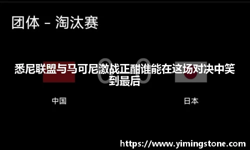 3377体育官网